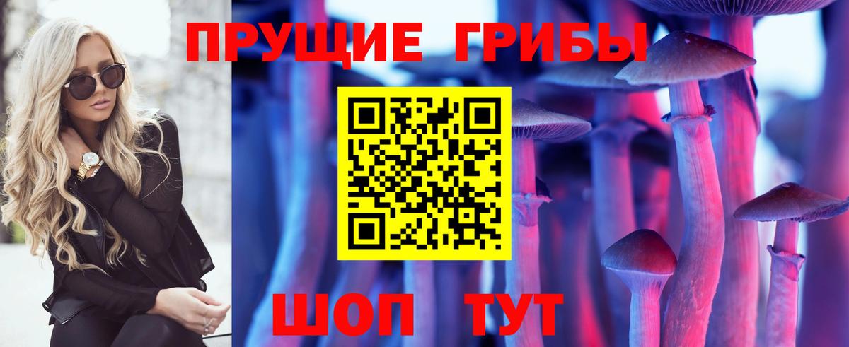 Галлюциногенные грибы мухоморы Мценск