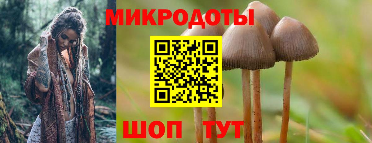 Псилоцибиновые грибы прущие грибы  Вход с VPN  Галлюциногенные грибы Psilocybe  Мценск 
